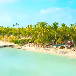 Mayan Monkey - Social (adults Only) Isla Mujeres